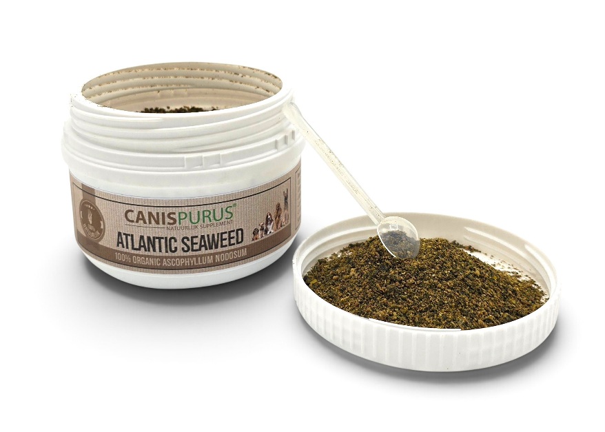 CP supplement: Atlantic Seaweed CP supplement: Atlantic Seaweed