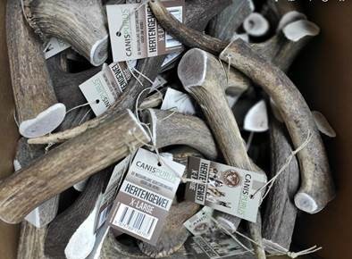 NIEUW:  Hertengeweien en Deer Bones